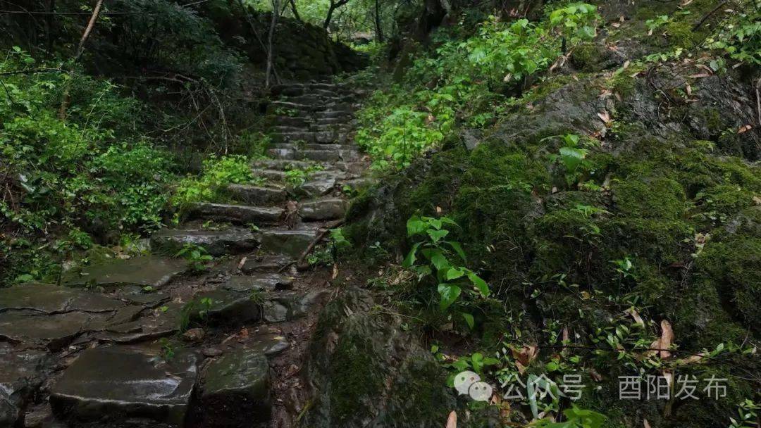 酉山酉水酉文化丨酉陽川鹽古道(上篇)_龔灘_鬱山鎮_龍潭