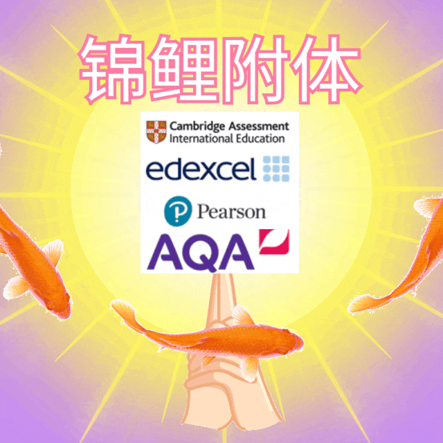 176枚牛津offer雨！什么样的履历才能斩获牛津offer？_A-Level_课程_同学