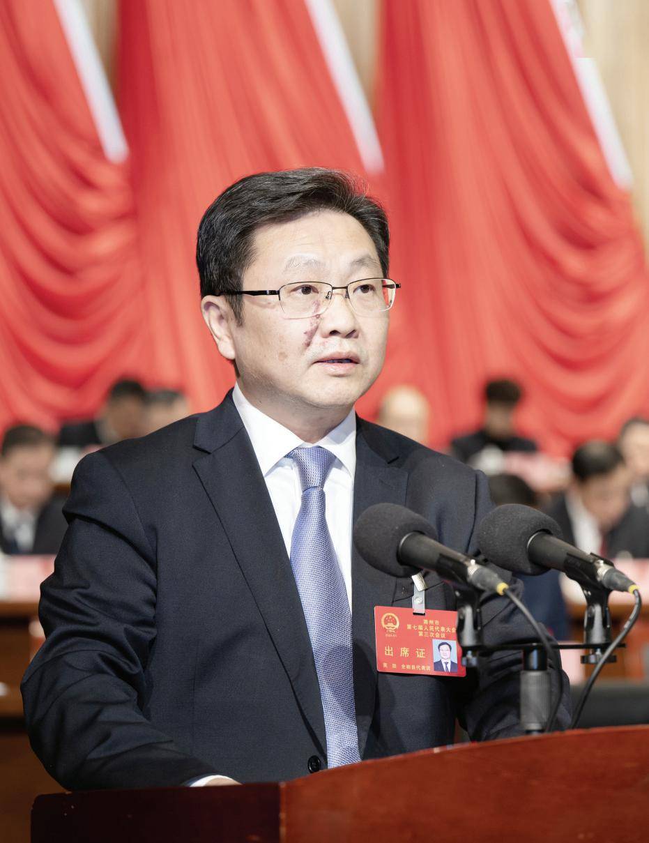 附2024年滁州市政府工作报告_发展_建设_大会