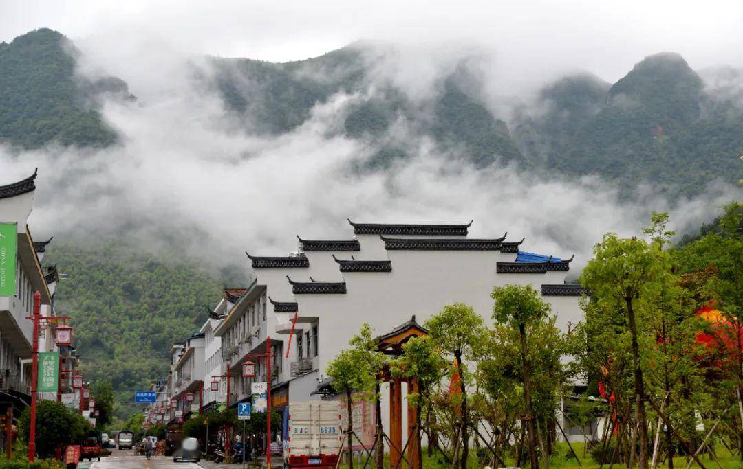 福建宁德:从"弱鸟先飞"到"头鸟领飞"_赤溪村_闽东_畲族