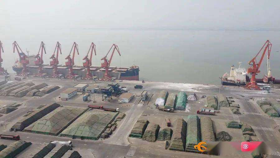 【资讯】麻涌港助力5.5万吨化肥抵运东莞!