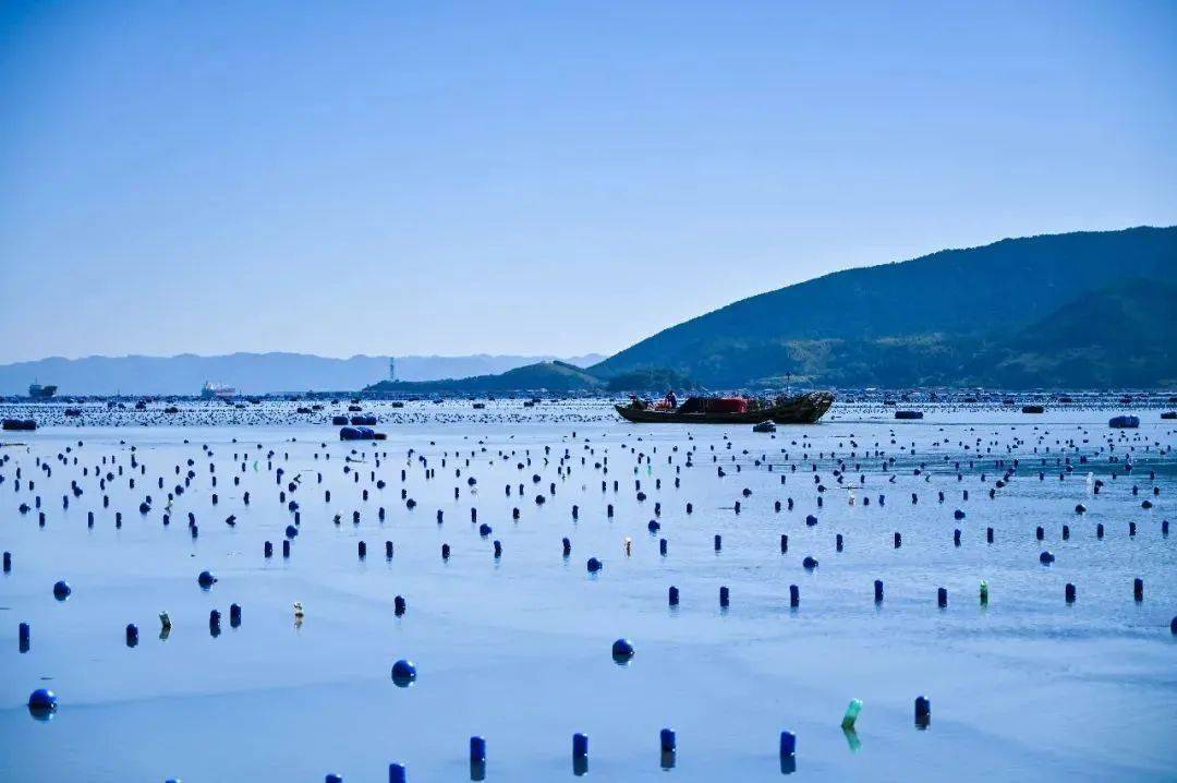 到寧海村吹吹海風圖源|文旅福安所有的煩惱隨風而去令人心曠神怡