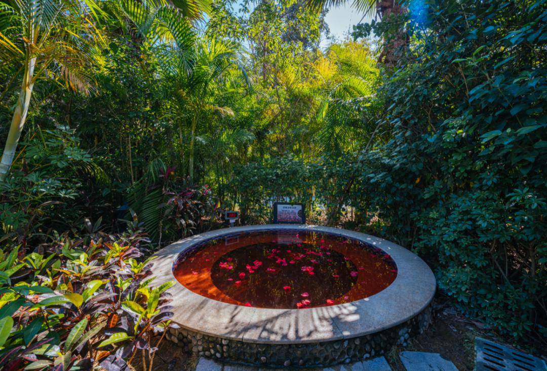 泡温泉叹特色农家菜,299元住惠州富力养生谷,加送温泉门票,晚餐3菜1汤