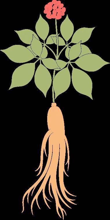 药效与毒理:传统本草学向现代药物学过渡绕不开的问