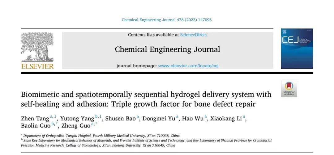 大學郭徵團隊提出仿生水凝膠體系促進骨缺損修復新策略