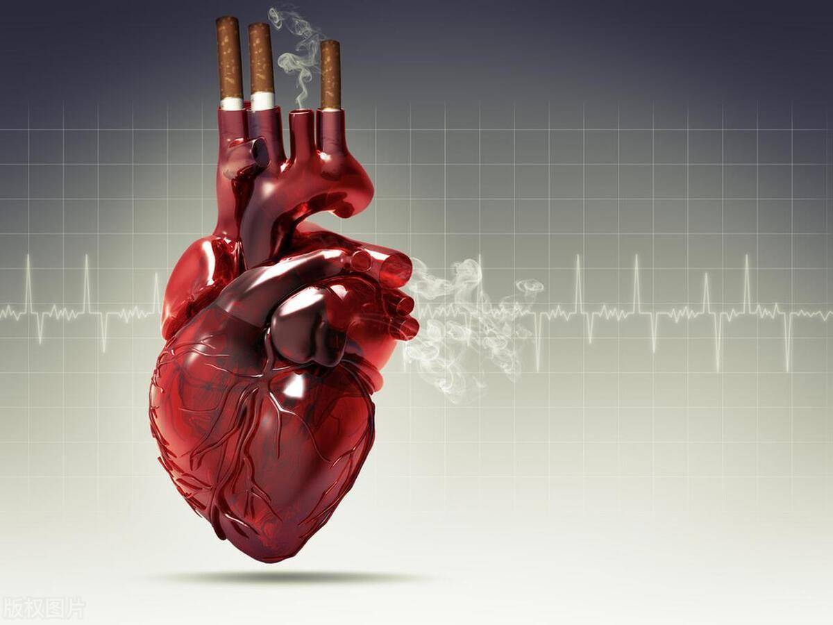 中医视角下的老年肺心病:经典方剂与日常食疗全解析_治疗_患者_功效