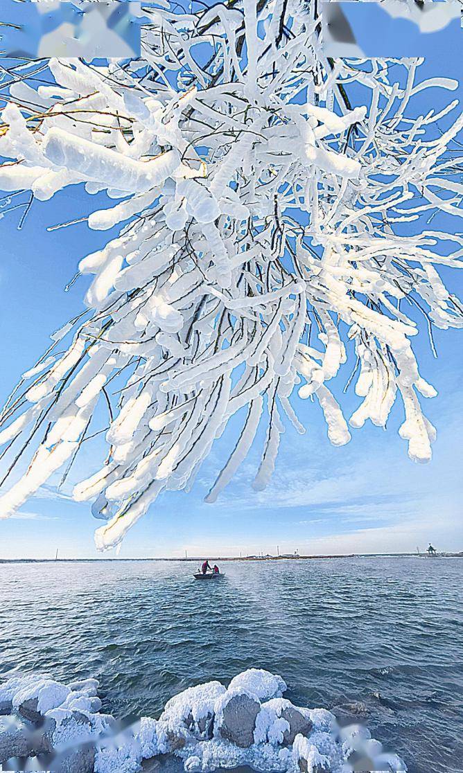 好去处 雪树飞花