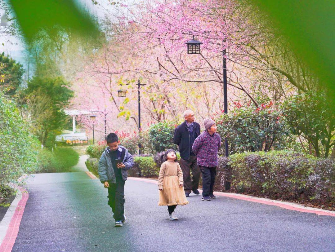 赣周事丨新年新气象 阔步再出发_赣州_罗敏_赣南