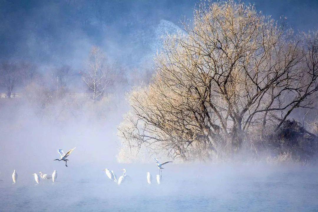 岁月_经典_音乐