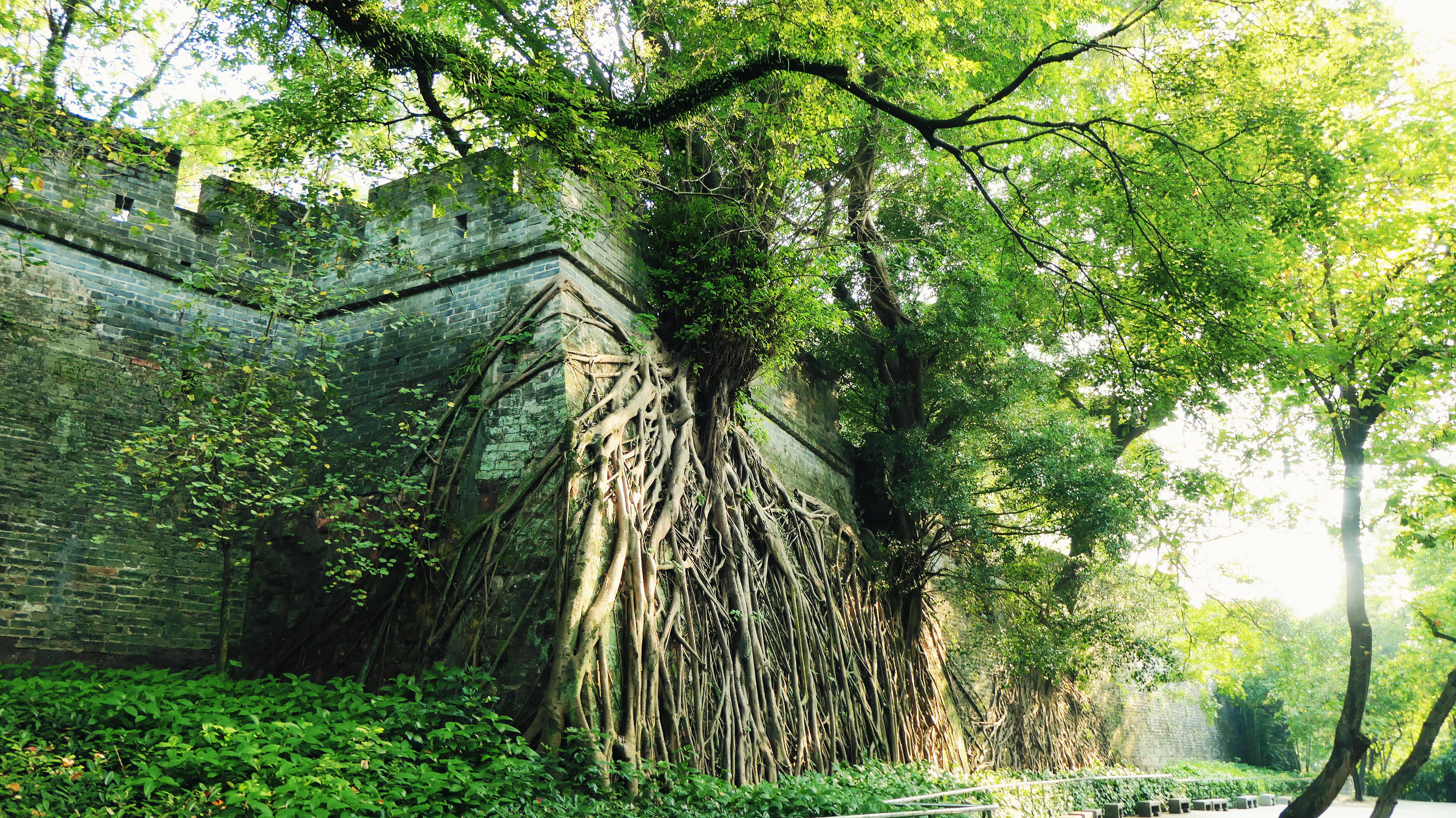 广州市越秀公园正式加入国际古城墙(堡)联盟_明城墙_镇海楼_合作