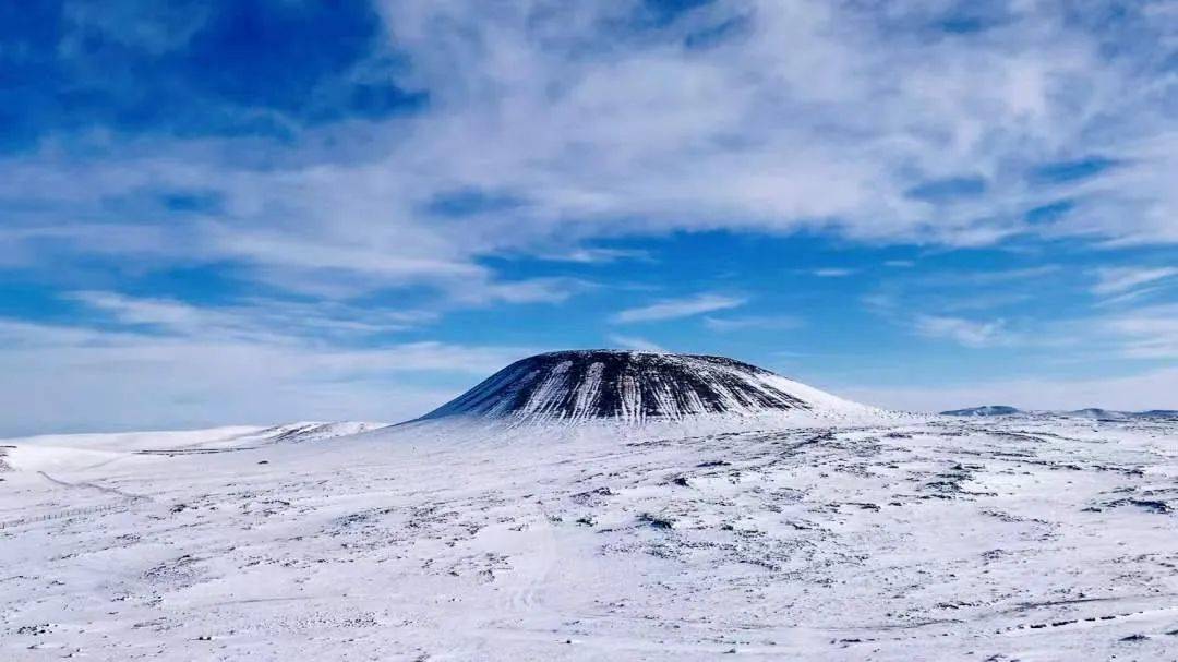 雪原狂奔图片