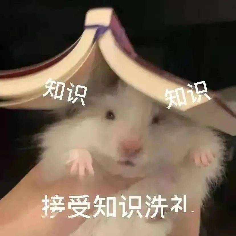 29省大数据告诉你,你有多大概率进省队!