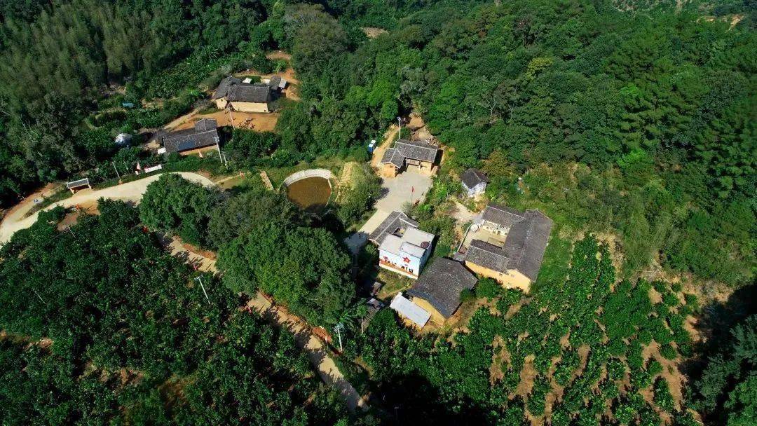 爱廉说丨永不熄灭的"伯公灯"_伯公凹_邹作仁_交通