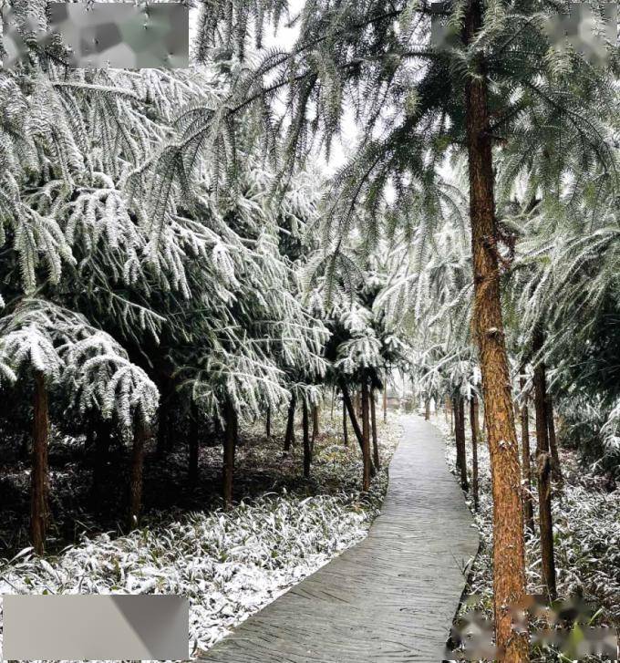 宜宾发布强降温蓝色预警,这些地方要下雪?_气温_阴天_小雨