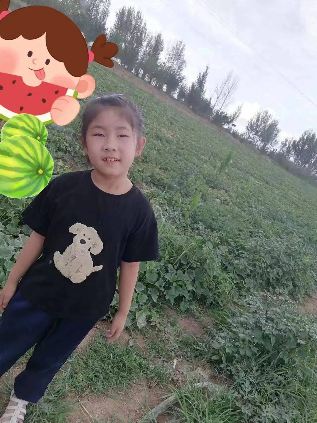 【内蒙】于佳宁《摘西瓜》指导老师:沈静静_作文_作家网_孩子