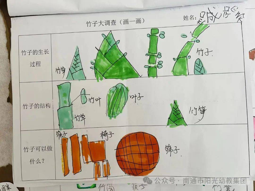 【中南熙悦园·动态】探竹日记