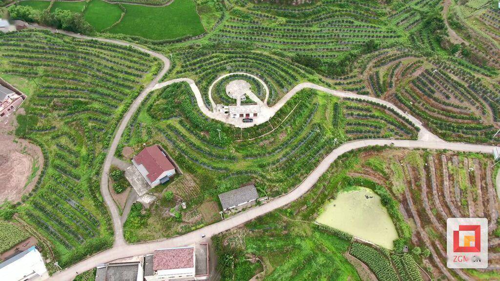 骑龙镇大田村:打造现代化柑橘生产链 "帮着群众赚"_村民_产业_资金