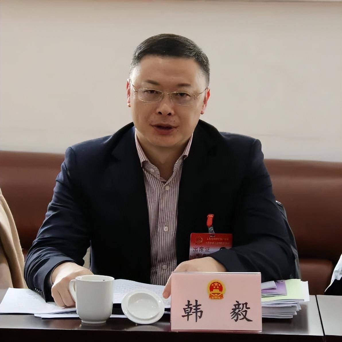 把握数字化转型机遇,完善"中华武数"科创布局丨代表委员有话说_韩毅