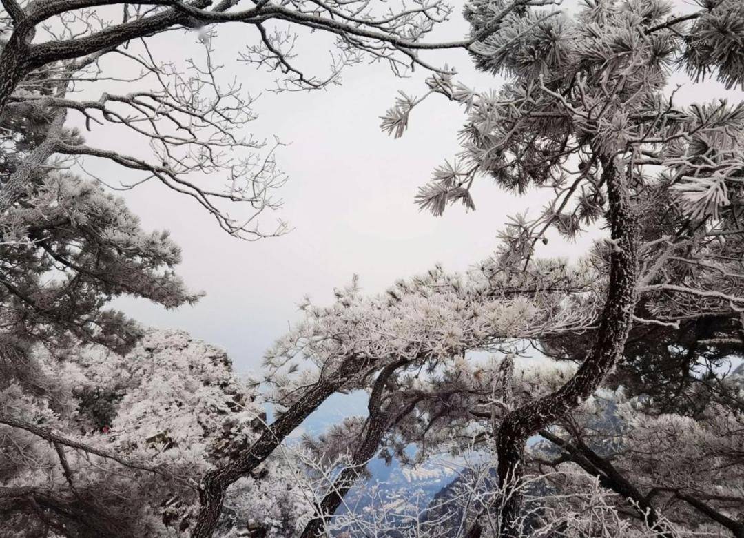 2022年庐山雪景图片