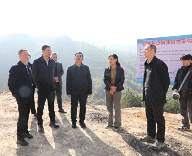 福建省林业局局长王智桢调研松材线虫病疫情防控:让真金白银真正用到