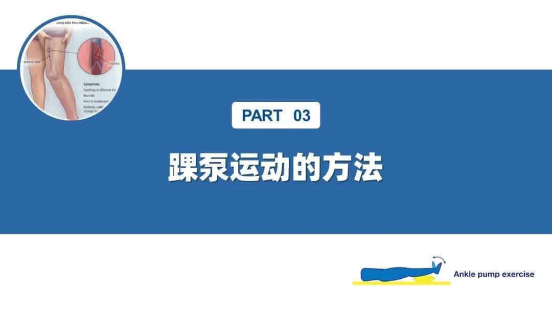 【ppt】踝泵运动护理宣教_文库_来源_原文