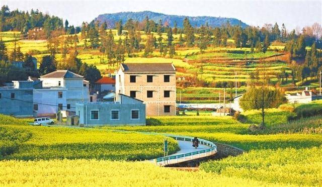 綠美底色裝點幸福鄉村生活_建設_竹園_村莊