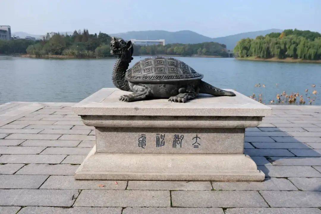 太湖神鼋生态校园,风光无限花木林立,曲水流觞水域400亩,含"水"量极高