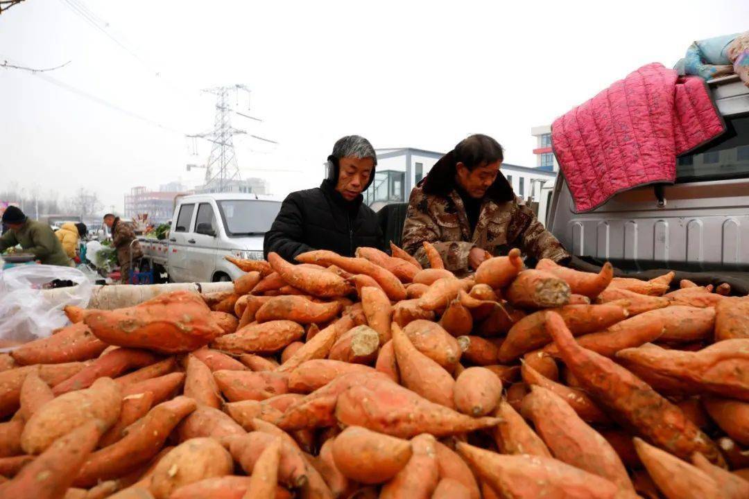 满城周边大集图片