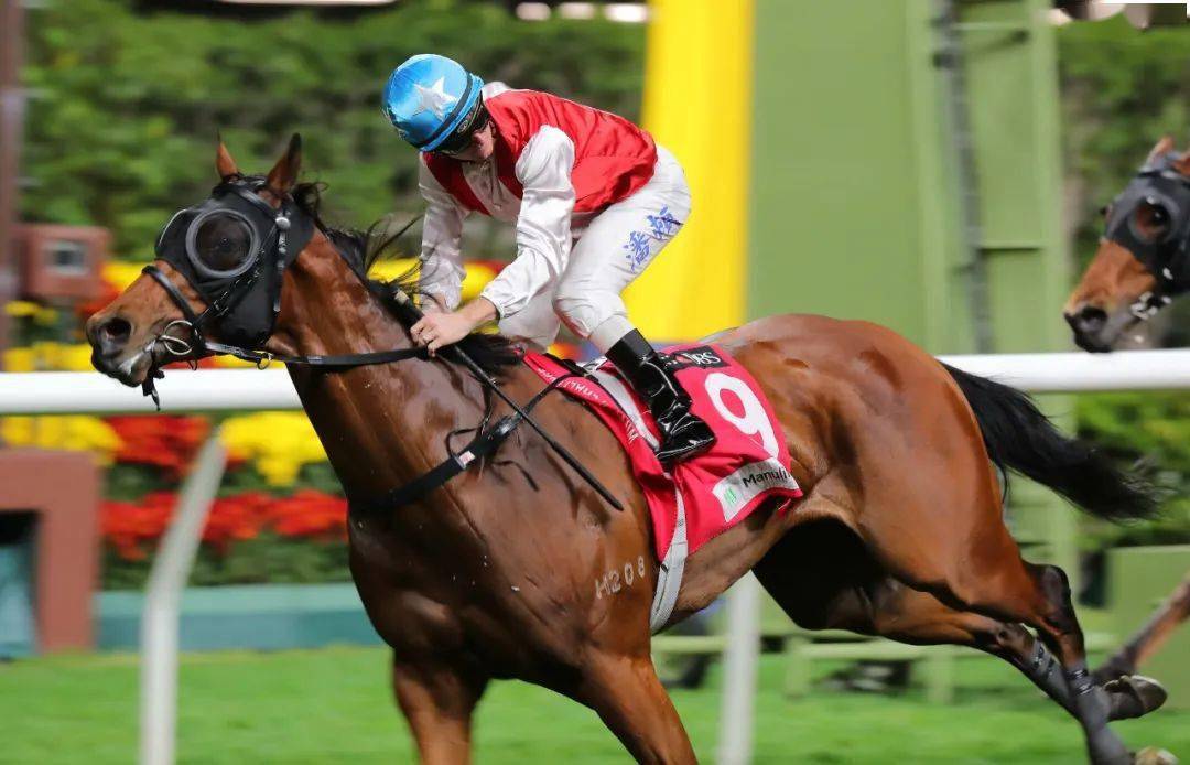 17/1赛后报告:【万众开心】潘顿,田泰安起宨而回_赛事_独角兽_乐天派