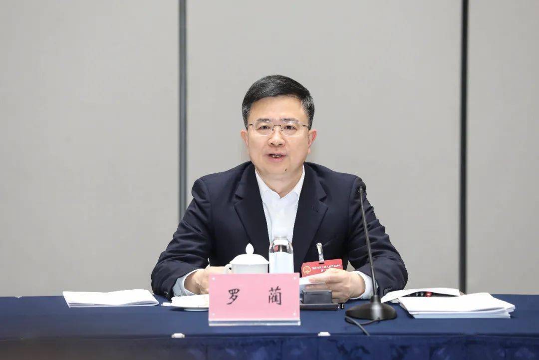 市人大代表,市委常委,两江新区党工委书记罗蔺说,政府工作报告总结