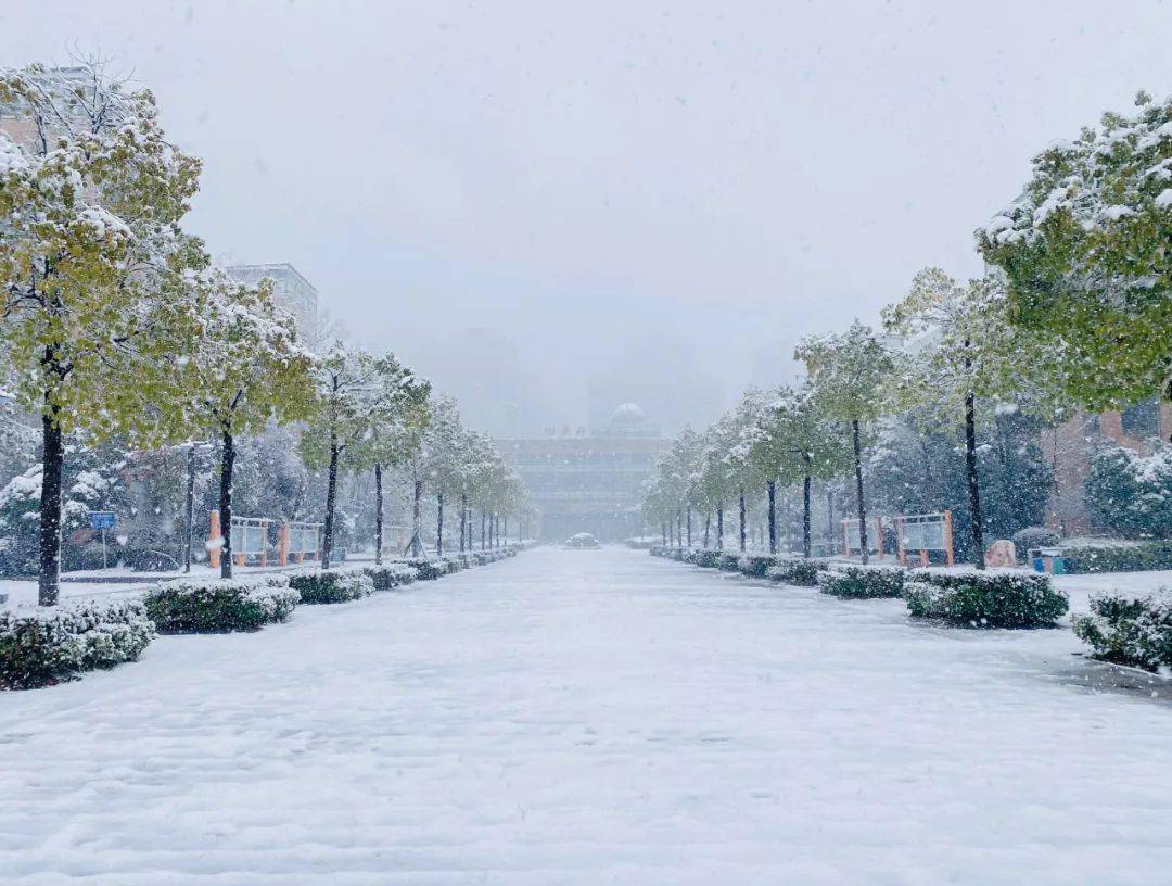 株洲下雪图片