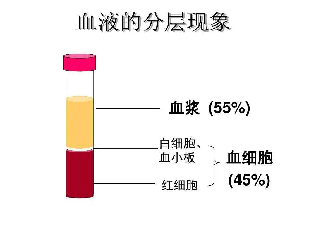 人的血液主要是由血浆和血细胞所组成的