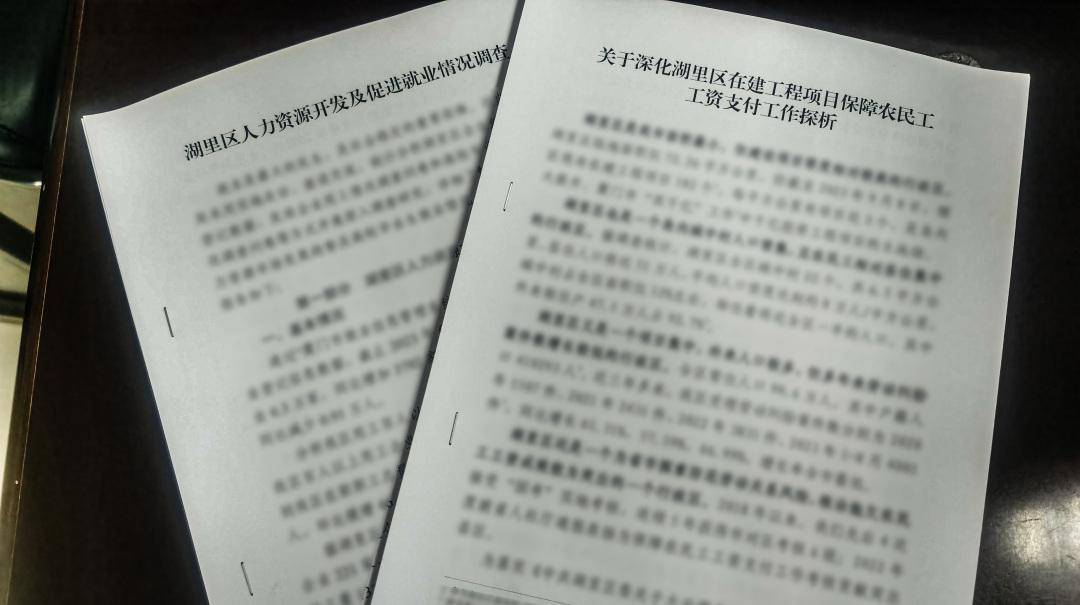 2份充分翔实的调研报告,并提取2个正反典型案例,召