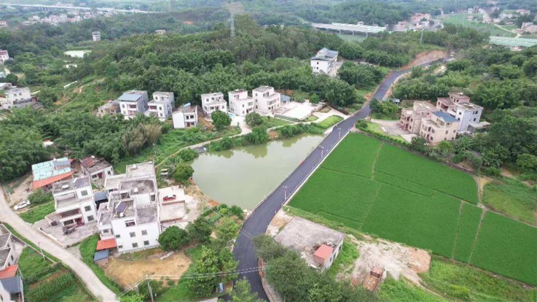 【聚焦"百千万工程"】凤安镇:凝聚乡贤力量,赋能 "百千万工程"!