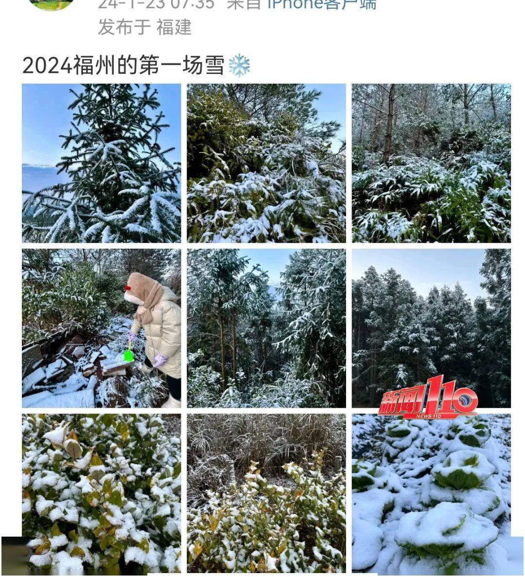 鼓岭下雪了图片