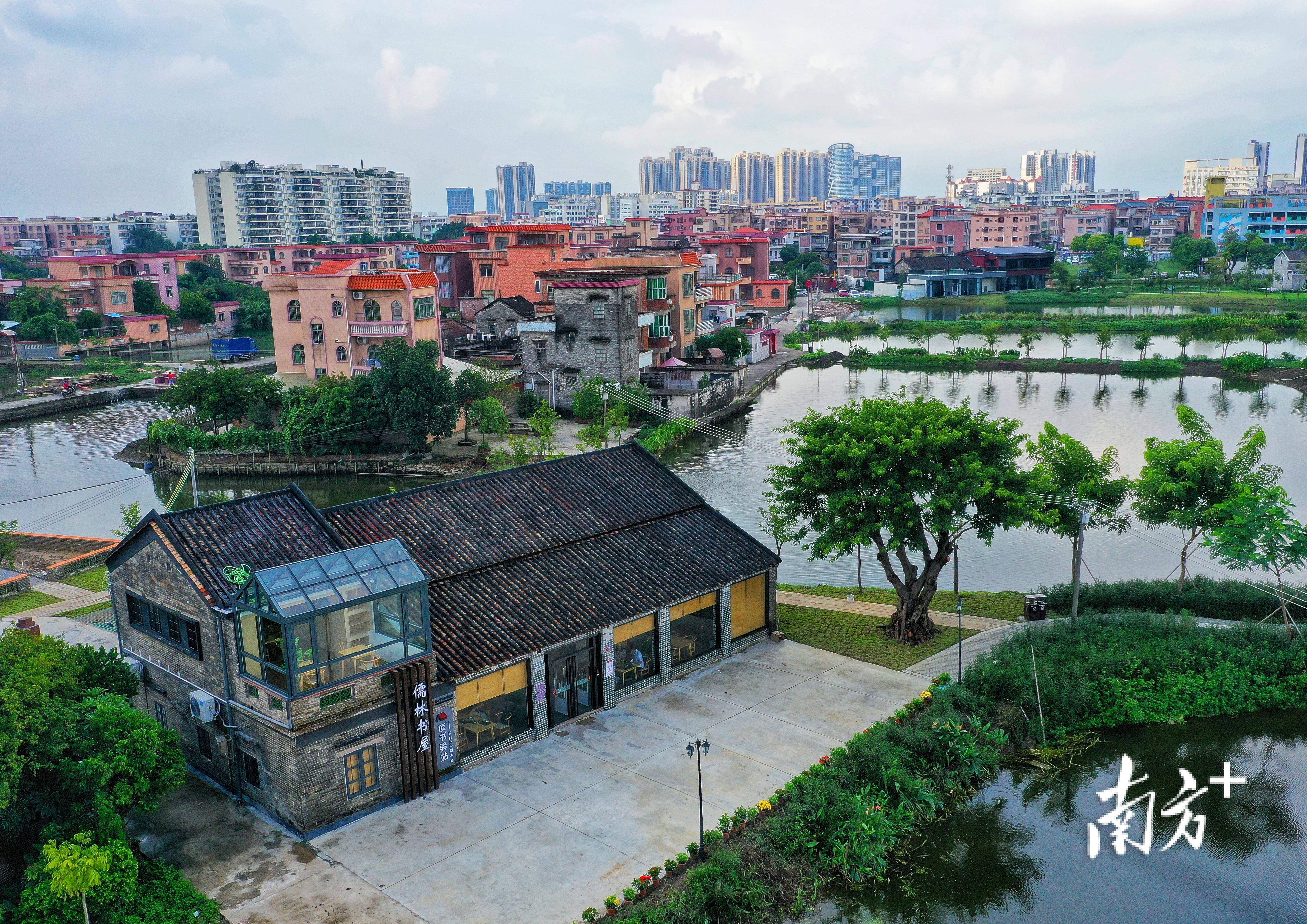 九江下西：西江边“作画”，绘出岭南水乡新图景