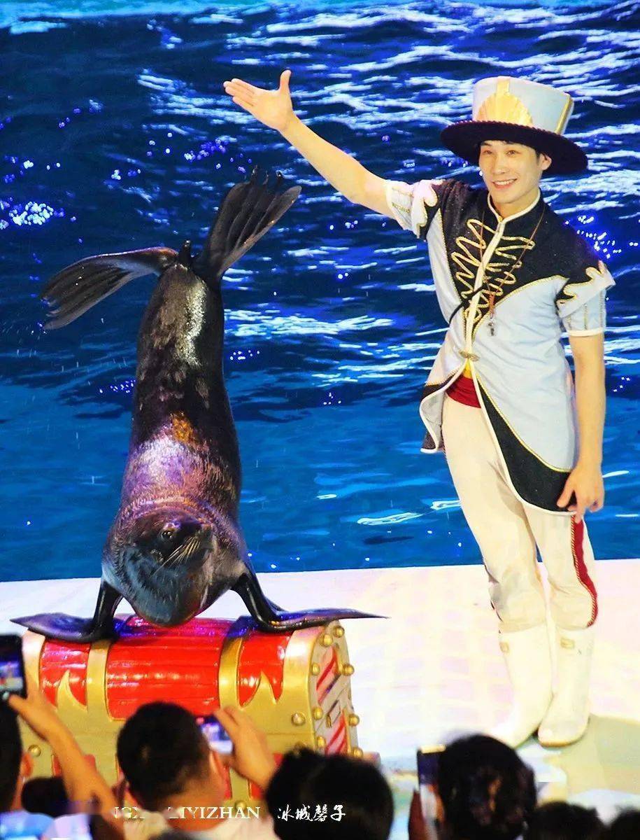 北极熊酒店北极熊游泳在海洋的世界里穿越到南北极,再去恐龙世界走一