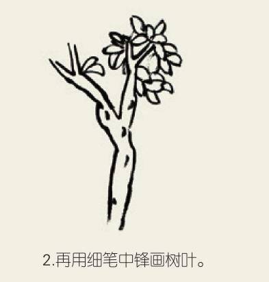 桃花的畫法三,柳樹的畫法二,國畫燕子的畫法:畫嫩枝宜筆上先調藤黃