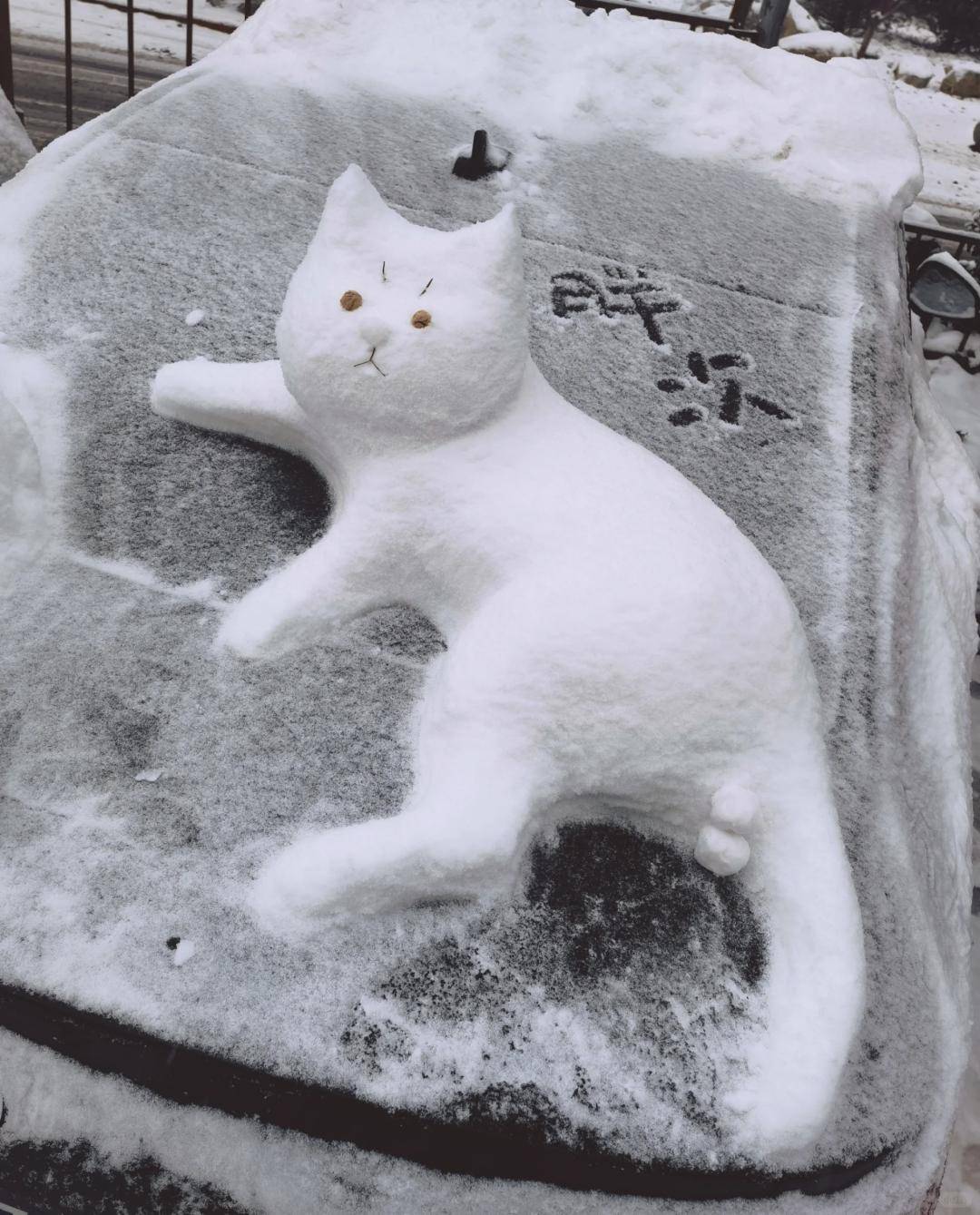 谁堆的雪人?笑死了,真是太有才了!_大哥_冰天雪地_哈尔滨