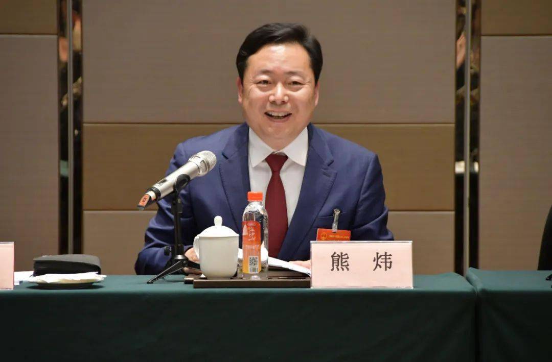 魏建锋参加益阳代表团集中讨论 陈竞主持 熊炜彭建忠等参加