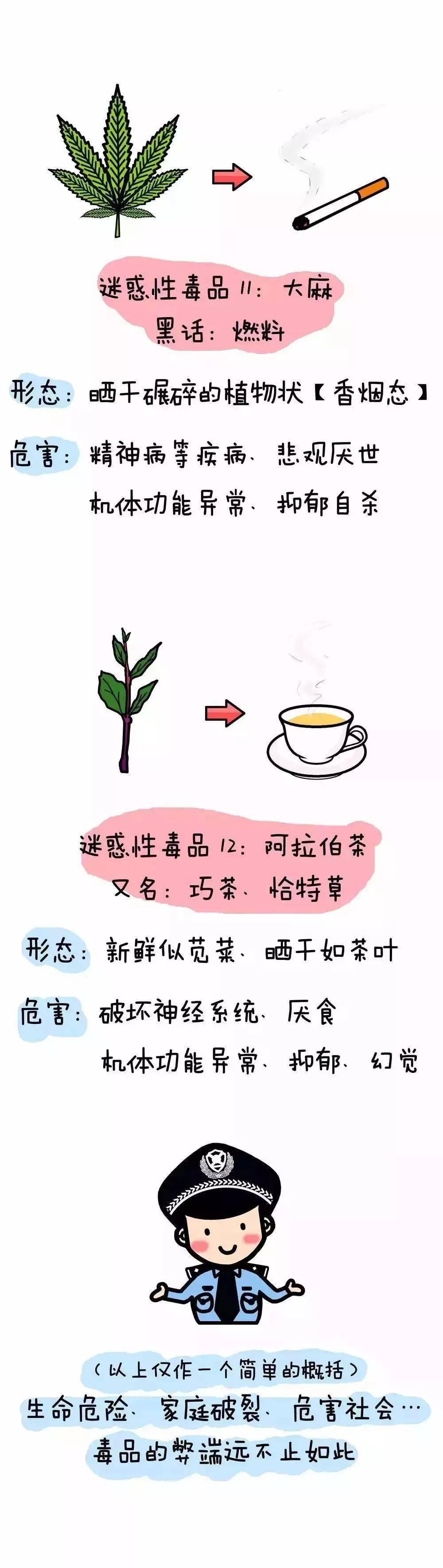 珍愛生命,遠離毒品_青少年_危害_吸毒者