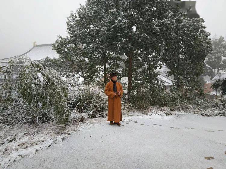 天台山寶華禪寺雪景特輯來了!_眾生