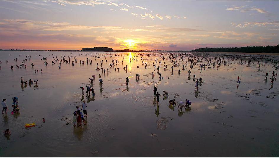 祥龍舞安州 | 2024年,一起暢遊濱海運河城市 —— !