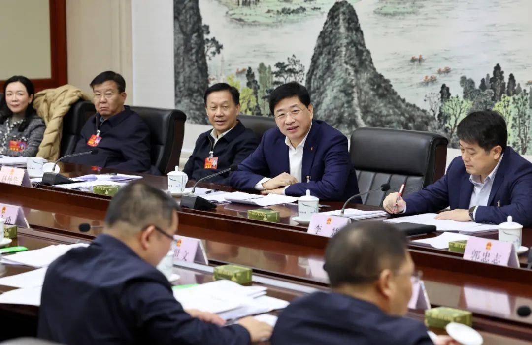 桂林市代表团审议自治区人大常委会工作报告 周家斌李楚赵仲华参加_广西_精神_立法