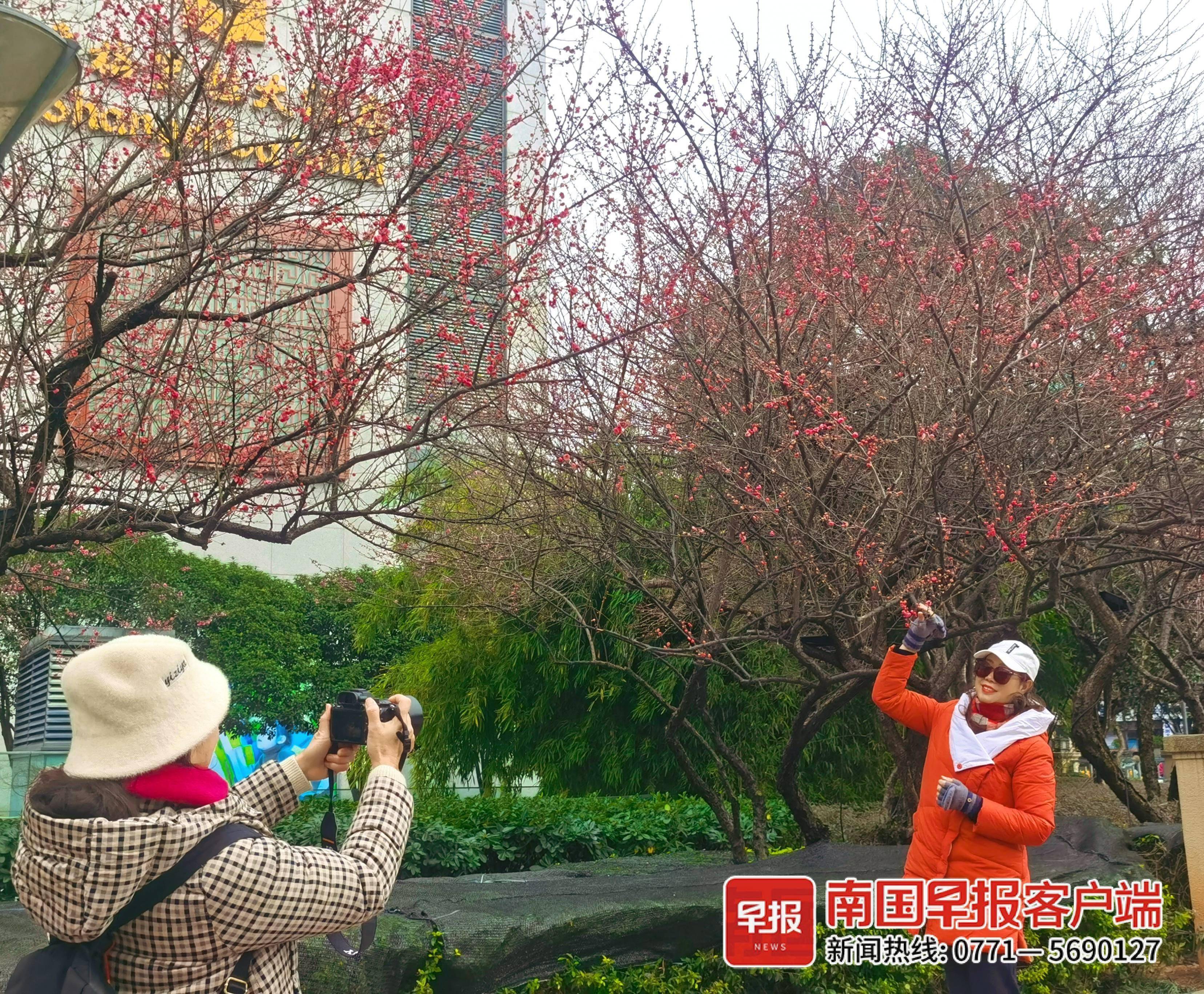 歐洲杯投注 歷史數據