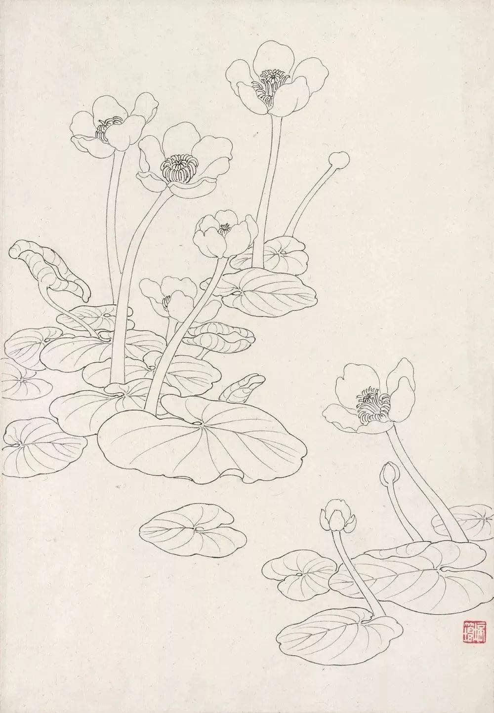 传统白描把花画活了!_国画_合作_作品