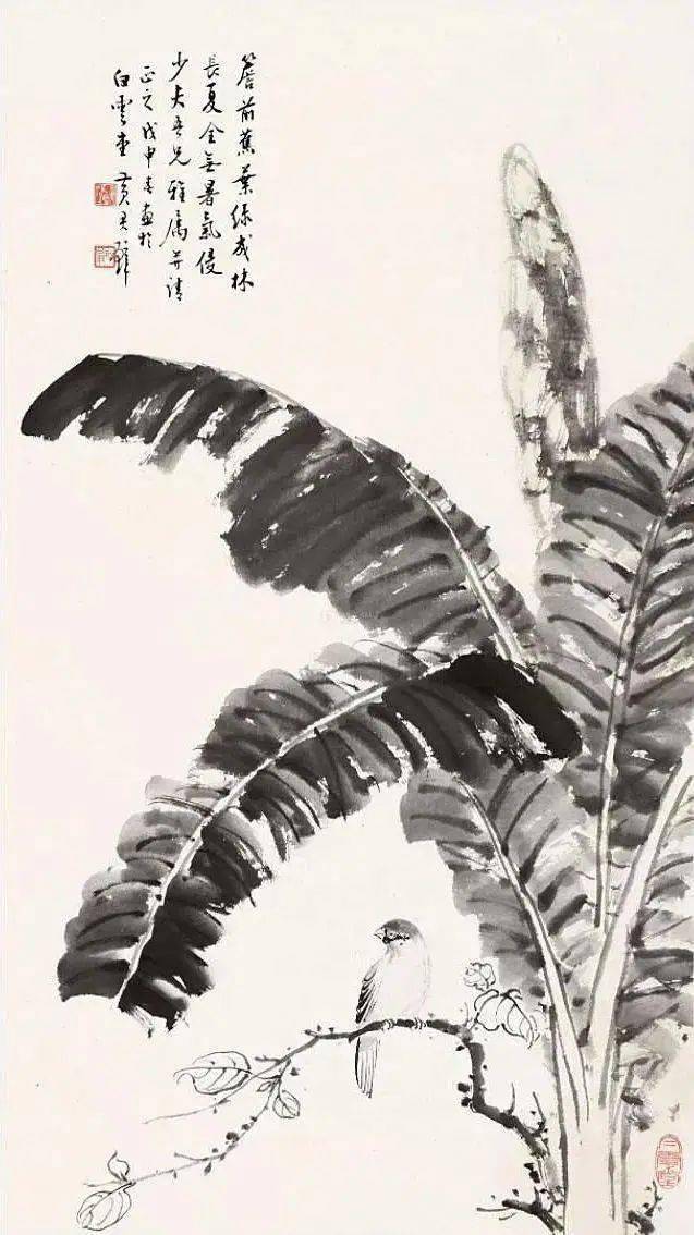 芭蕉入画,寓意"家大业大"_国画_版权_网络