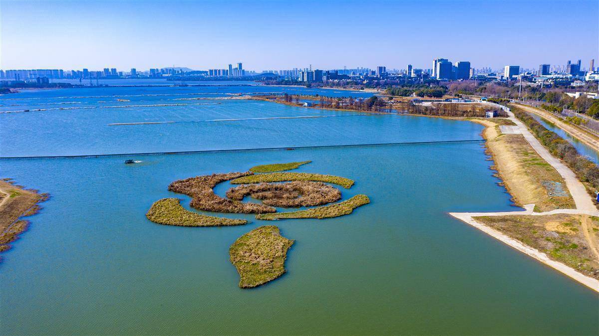 光谷一批流域治理项目通过主体验收_汤逊湖_生态_工程