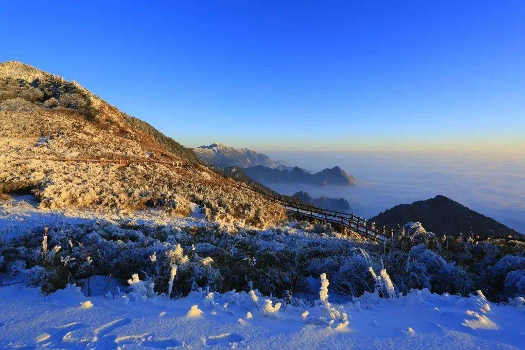 湖北文旅炸裂出圈_國際滑雪場_武漢