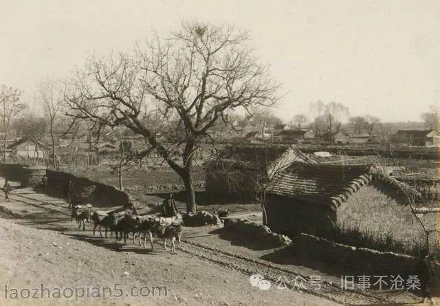 舊事照片:1937年北京順義昌平懷柔密雲老照片_朝陽區